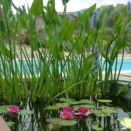 Magic House Apartamento Golfo Aranci